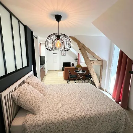 Lägenhet Sacre Appartement/jardin/parking/wifi Rodez