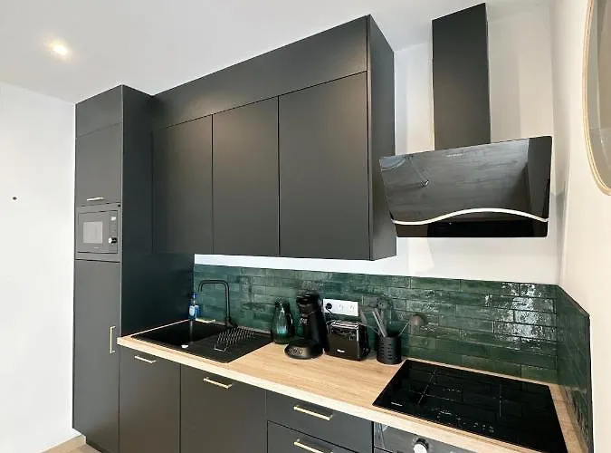 Sacré Appartement/jardin/parking/wifi