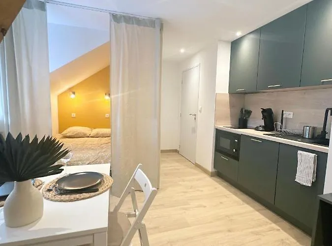 Sacré Appartement/jardin/parking/wifi