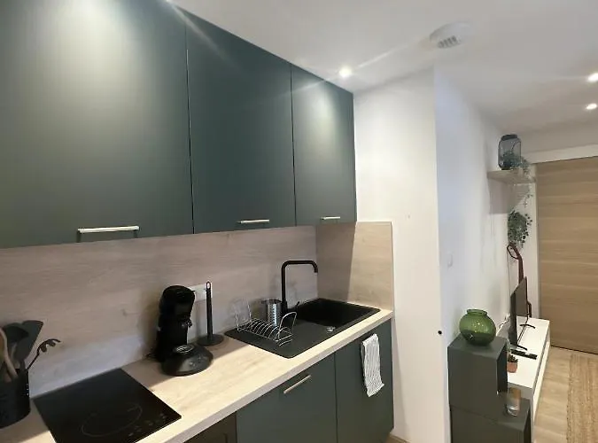 Sacré Appartement/jardin/parking/wifi *